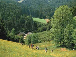 Blick auf die Untere Wellesmühle von Wellesberg aus
