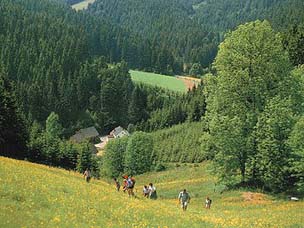 Blick auf die Untere Wellesmhle von Wellesberg aus